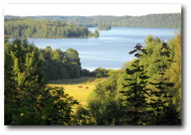 Photo of Beautiful Finland Farm and Lake Vista