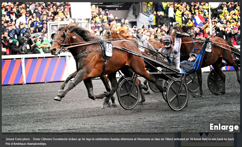 Photo of 2025 Prix d'Amerique winner Idao de Tillard