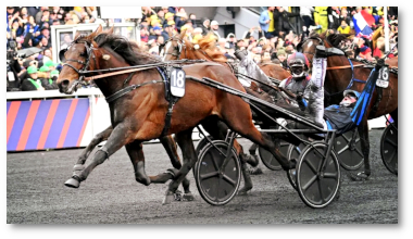 Photo of 2025 Prix d'Amerique winner Idao de Tillard