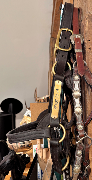 Photo of the stallion Ready Cash's halter with nameplate