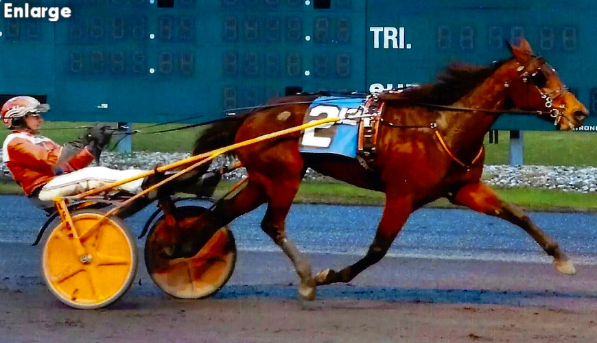 Adore Me winning at Harrah's on Dec. 16th, 2022