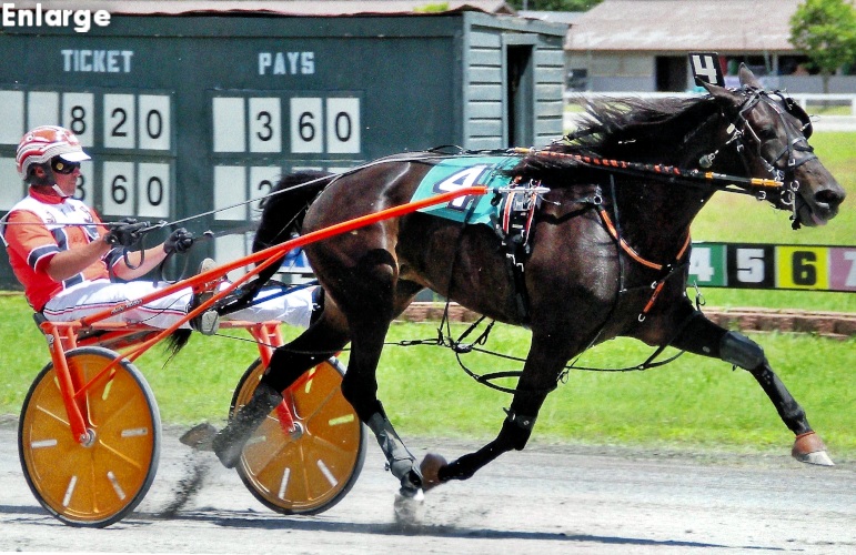 Just Joshing winning at Goshen on July 4th, 2021