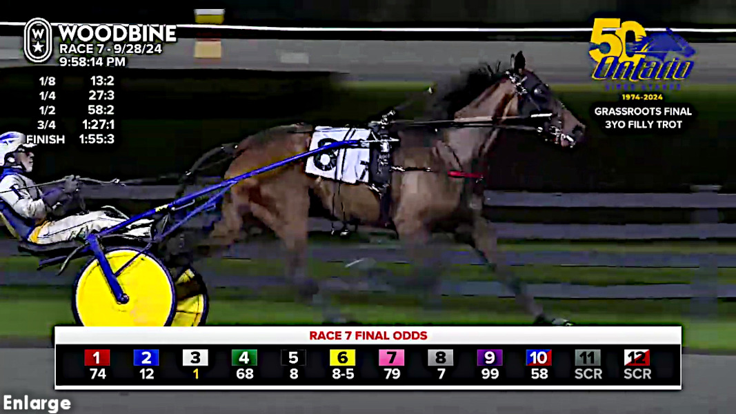 Video Grab of Love Those Legs winning the Ontario Sier Stakes Grassroots Championship