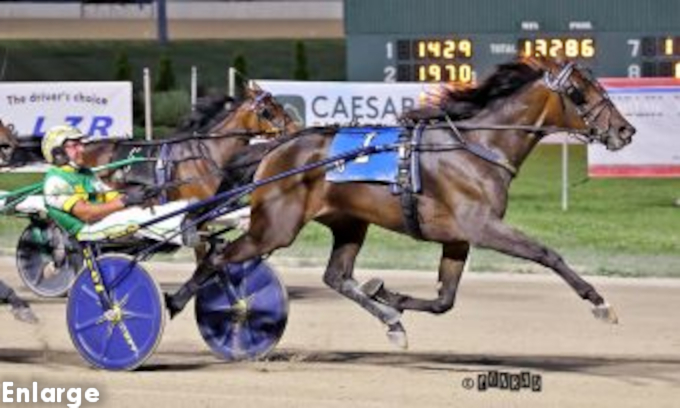 Photo of Setyoursightshigh