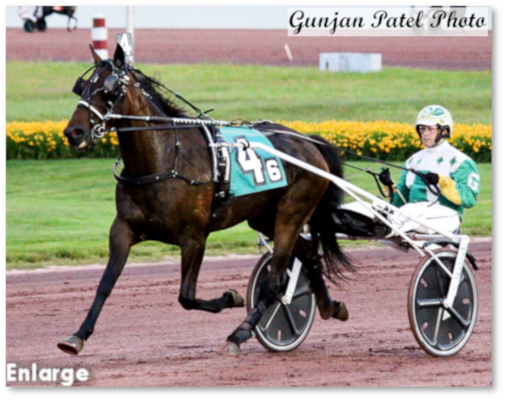 Tight Lines warming up at Pocono 6/29/19